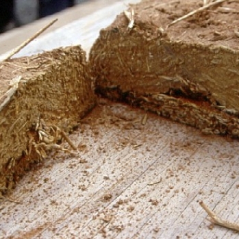 Sectioned cob sample