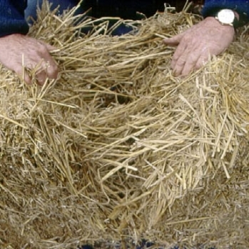 Making a half bale