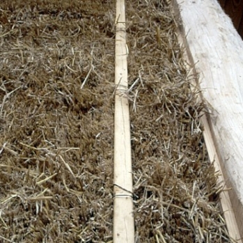 Straw bales in place with furring strip for tie down