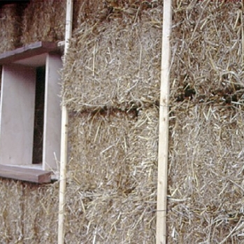 Straw bales in wall before trimming
